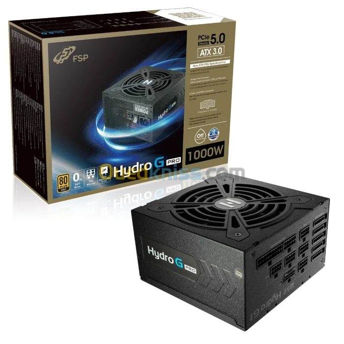 FSP Hydro G Pro 1000W 80+ Gold (PCIe 5.0) ATX3.0 Modulaire