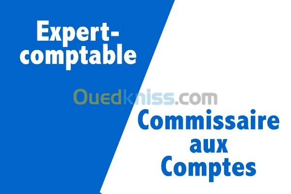 Commissaire aux comptes Expert comptable