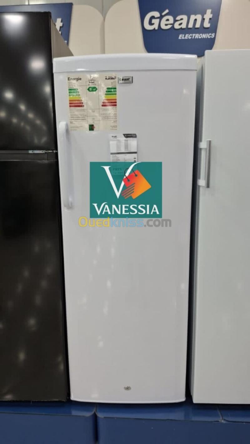 Congélateur Vertical 350L Marque Géant