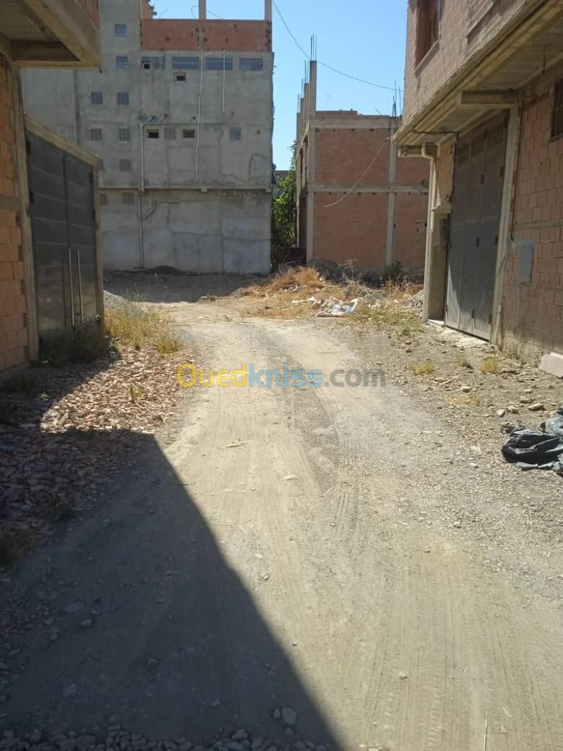 Vente Terrain Blida Bougara