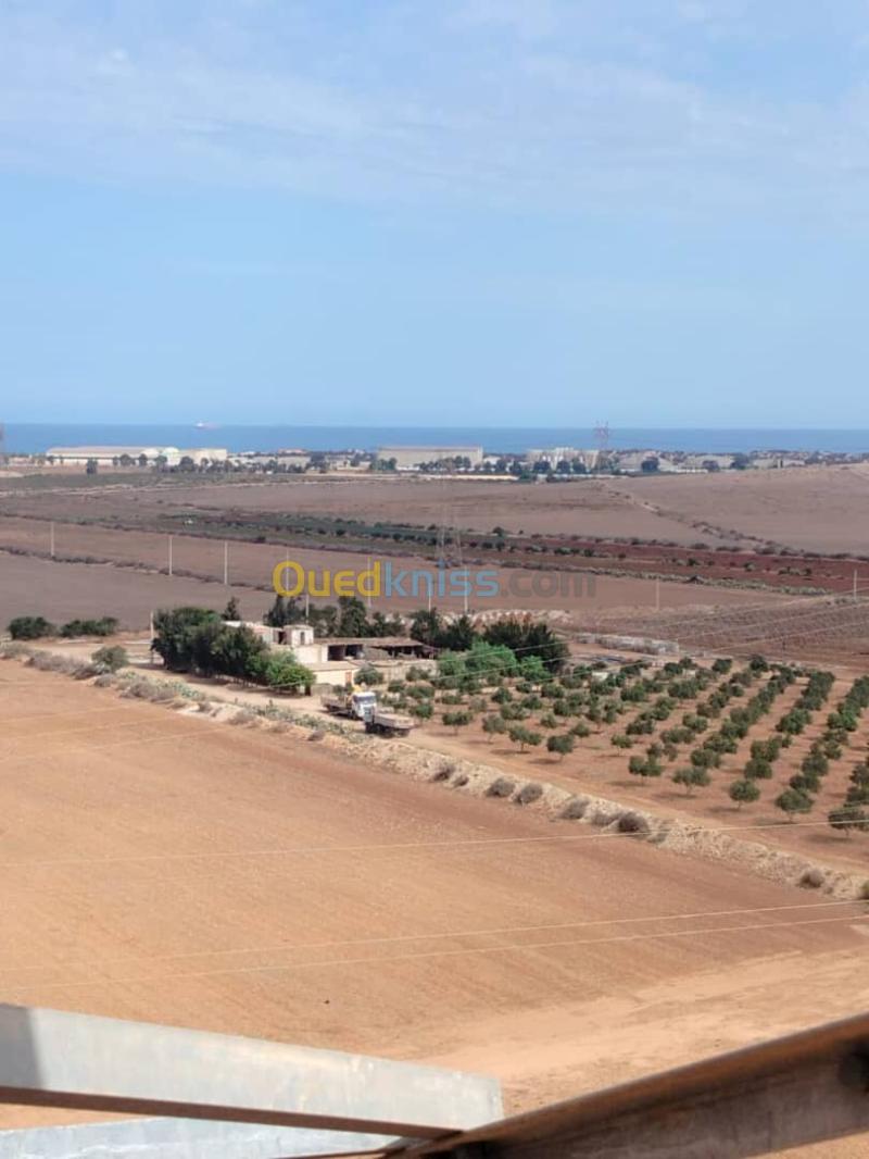 Vente Terrain Agricole Oran Marsat el hadjadj 2
