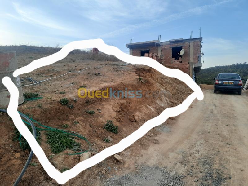 Vente Terrain Bouira Ain el turc 2