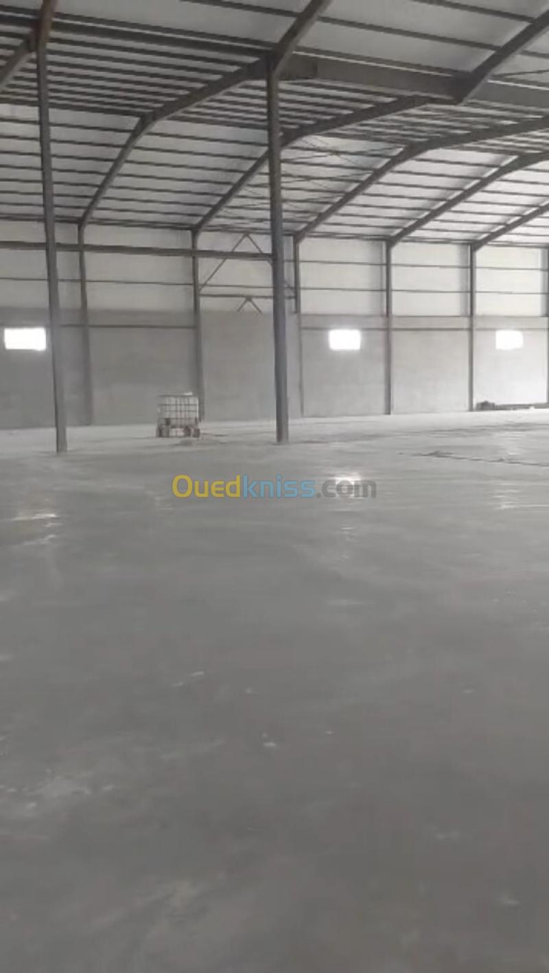 Location Hangar - Usine Blida Ouled selama 3