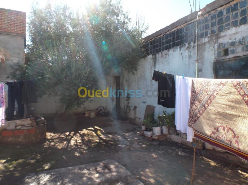 Vente Villa Sidi Bel Abbès Zerouala