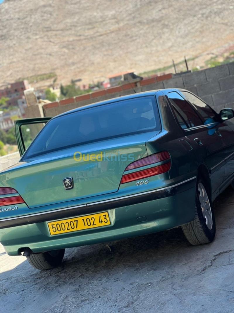 Peugeot 406 2002 406 8