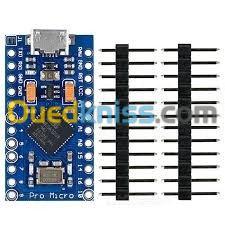 Arduino Uno / mega / nano / micro/ due