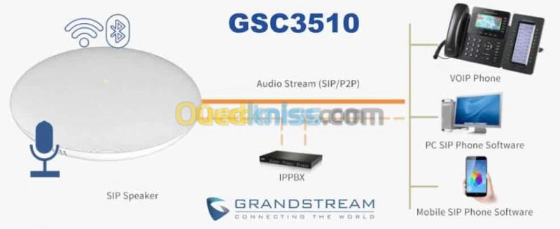 SMART Haut parleur GRANDSTREAM GSC3510