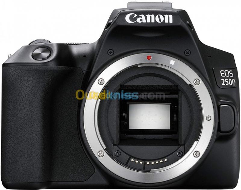 Canon EOS 250D DC Appareil Photo Numérique 24.1MP -Reflex Objectif EF-S 18-55mm III Wi-Fi Bluetooth