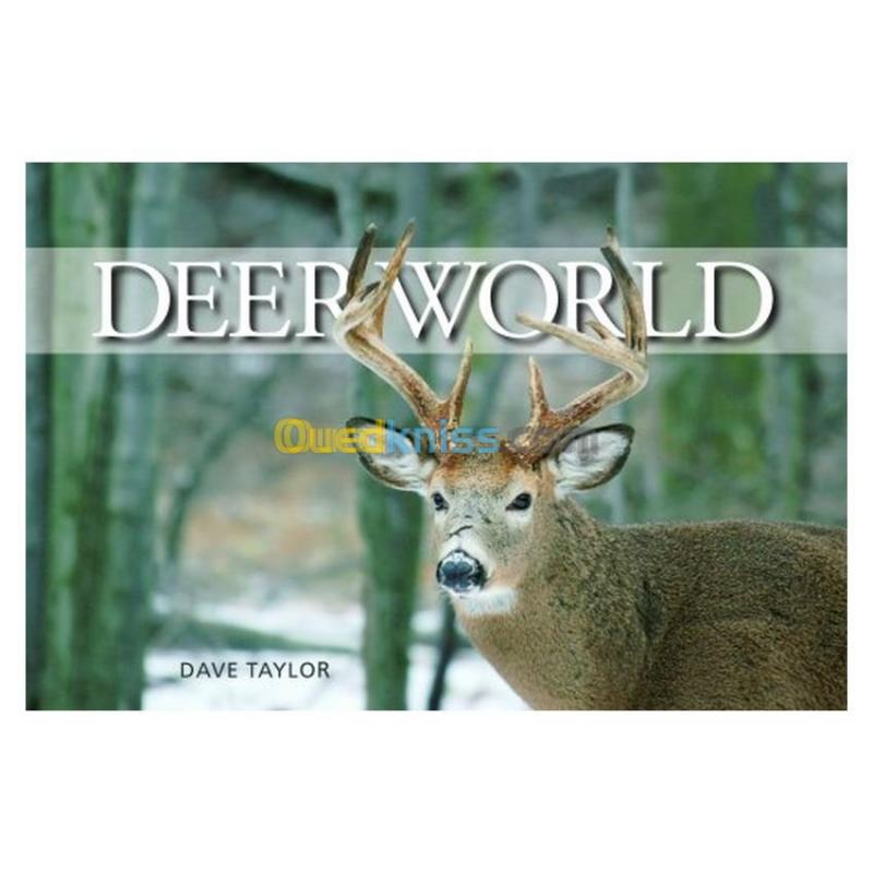  Deer World