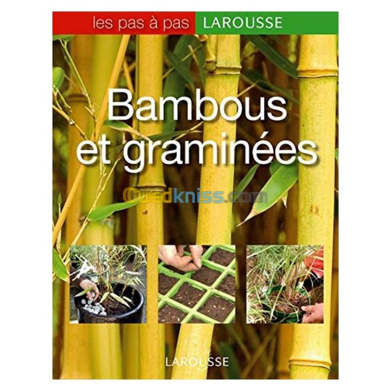  Bambous et graminées