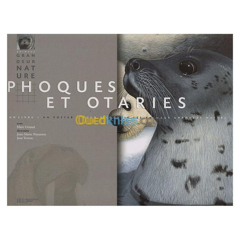  Phoques et otaries: animaux grandeur nature