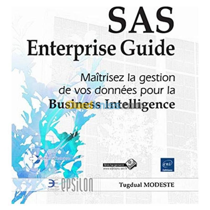  SAS Enterprise Guide - Maîtrisez la gestion de vos données pour la Business Intelligence