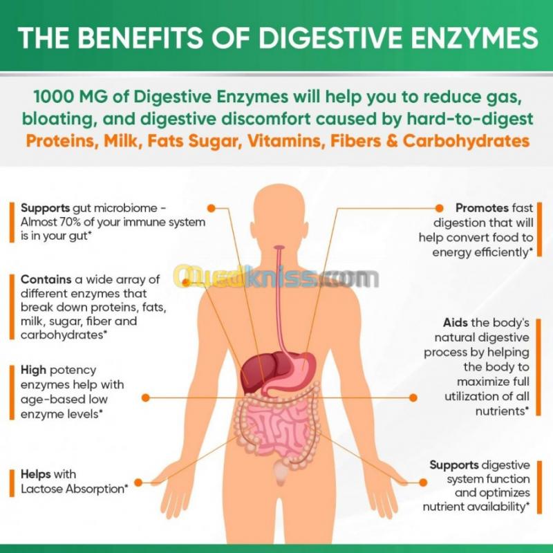 Enzymes Digestives Naturelles 1000mg