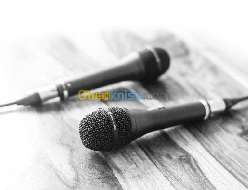  beyerdynamic TGV70 -S-vocal-microphone