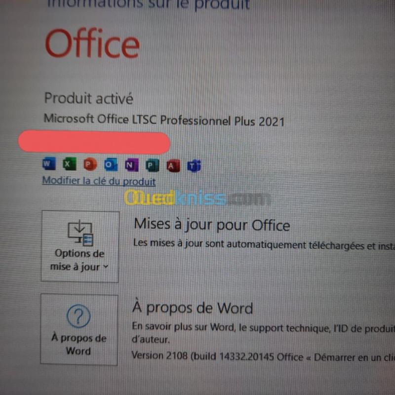 Ms Office 2021  Pro Plus LTSC 50, 500,5000  users