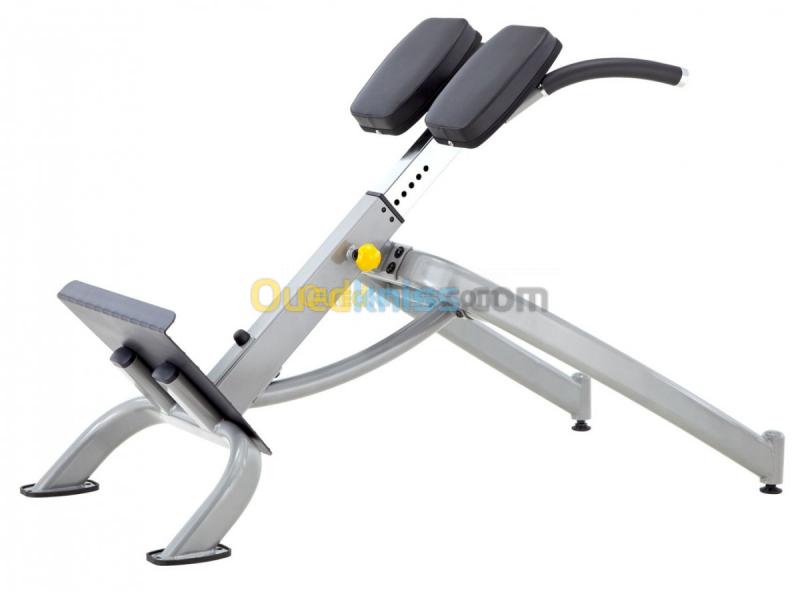  STEELFLEX NEO BACK EXTENSION NBE