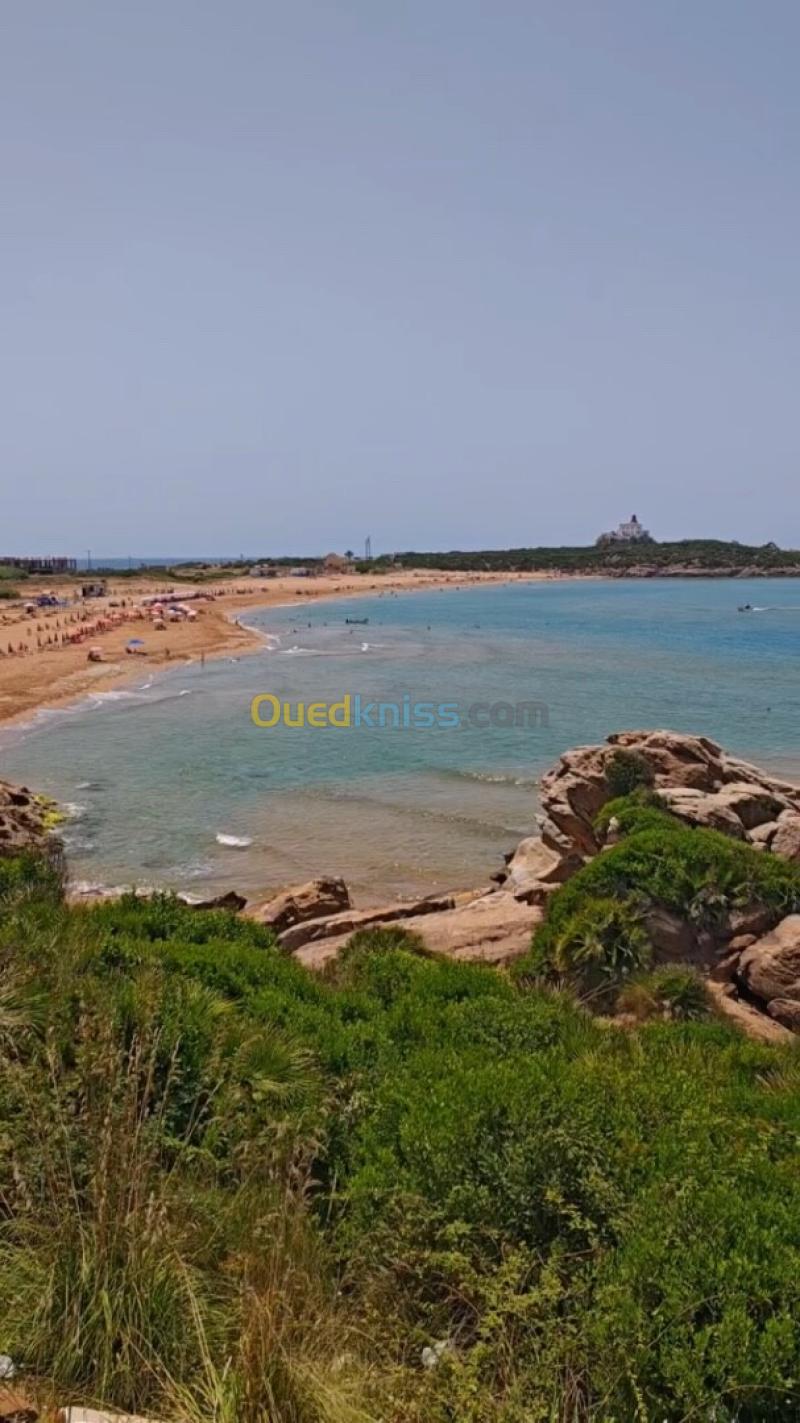 Vente Terrain Jijel Jijel 21