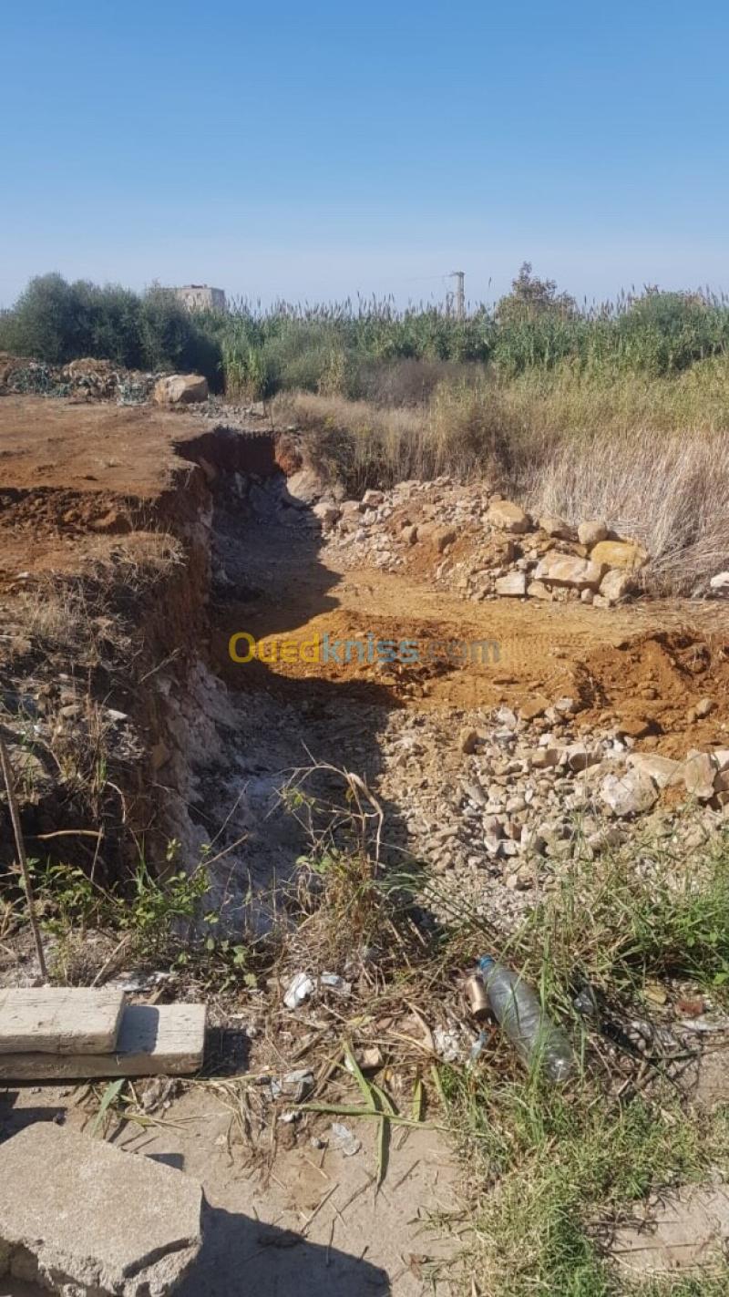 Vente Terrain Jijel Jijel 7