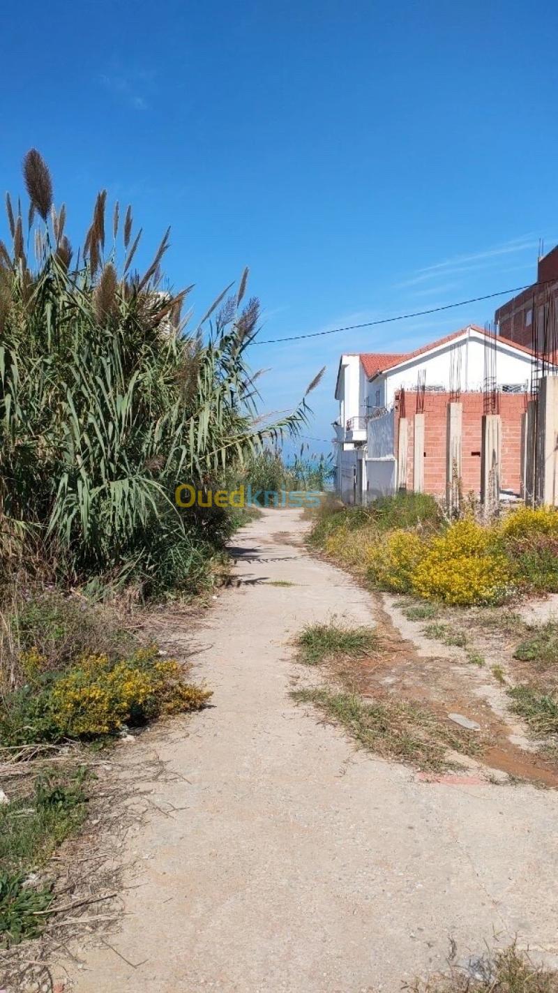 Vente Terrain Jijel Jijel 4