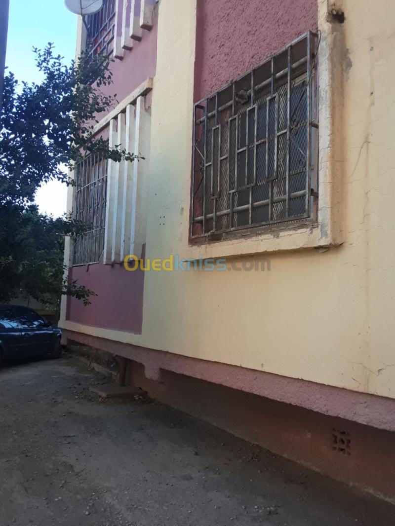 Vente Appartement F3 Ain defla El attaf 3