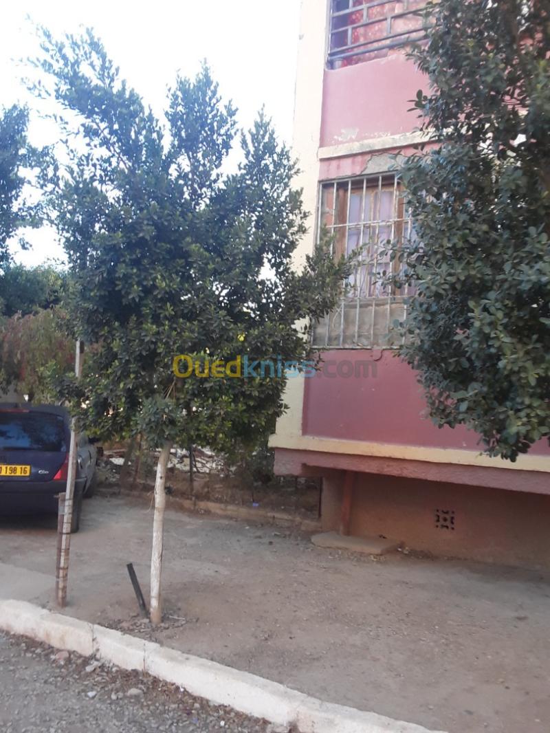 Vente Appartement F3 Ain defla El attaf 2