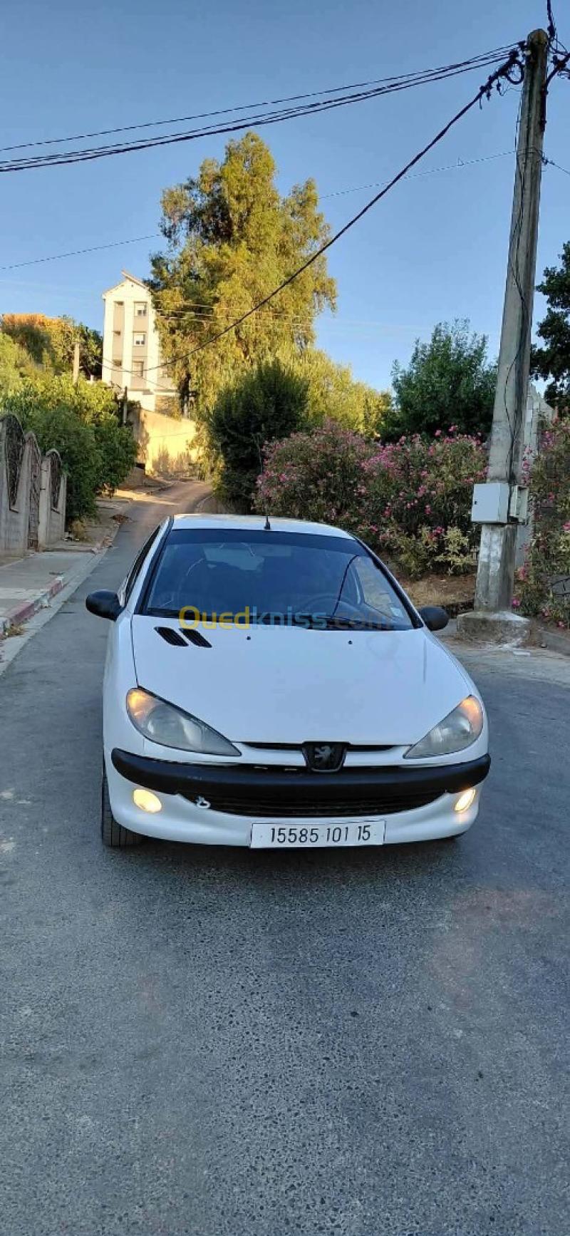 Peugeot 206 2001 206