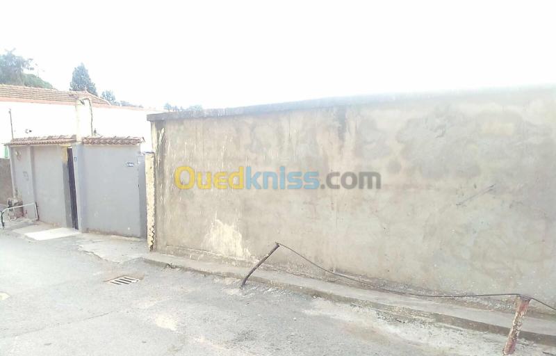 Vente Villa Alger El mouradia 4