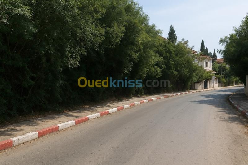 Vente Villa Alger El mouradia