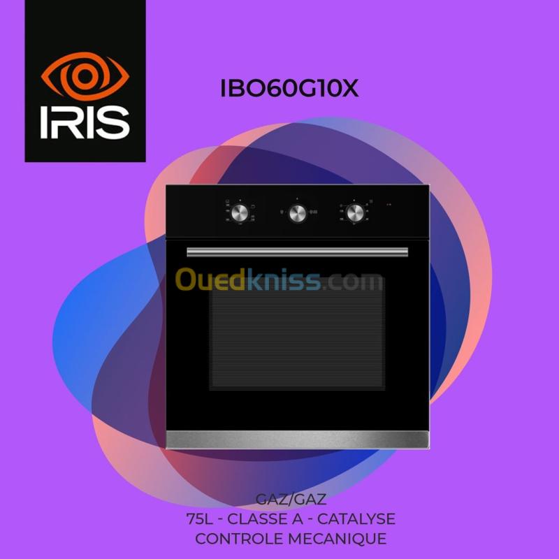 FOUR IRIS ENCASTRABLE GAZ-ELECTRIQUE MIXTE 7