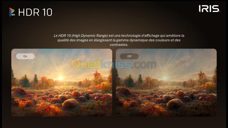TELEVISEUR IRIS 75 M8020 MINILED ANDROID 14 GOOGLE TV 75POUCES UHD 4K 120Hz MATTE 24