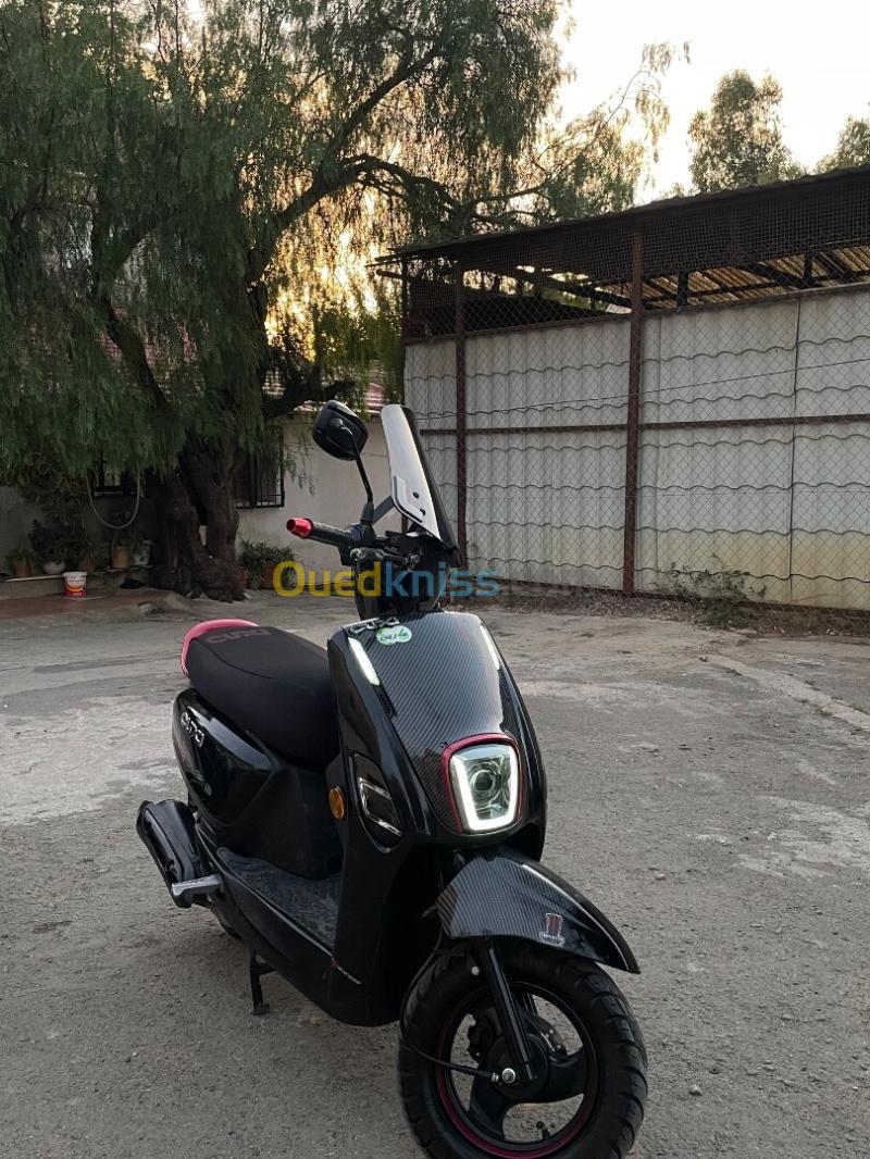 Vms Cuxi 2 2023 7