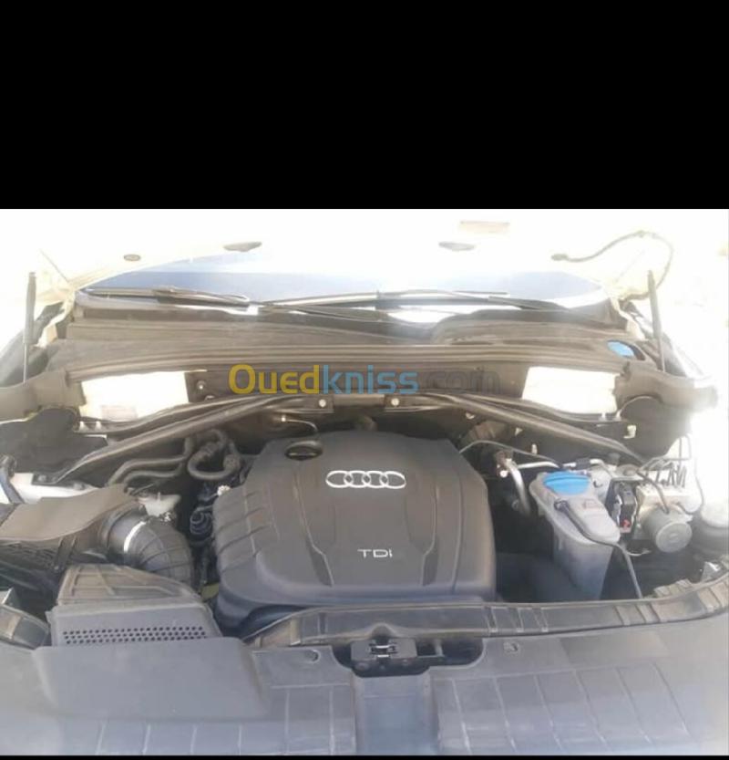 Audi Q5 2011 Off Road Pack Tech 6