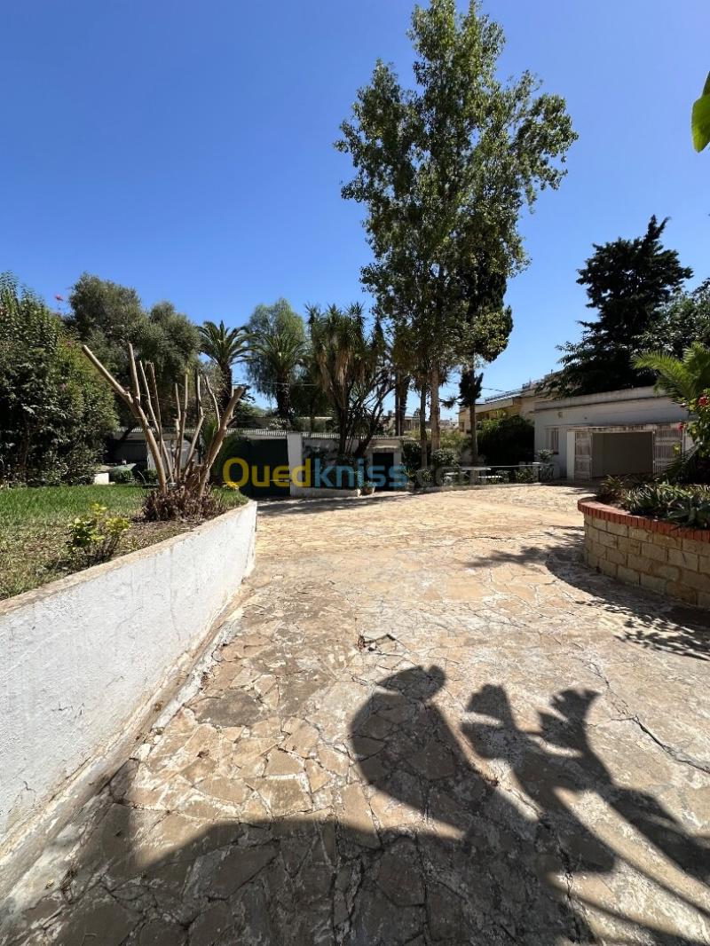 Location Villa Alger Hydra 13