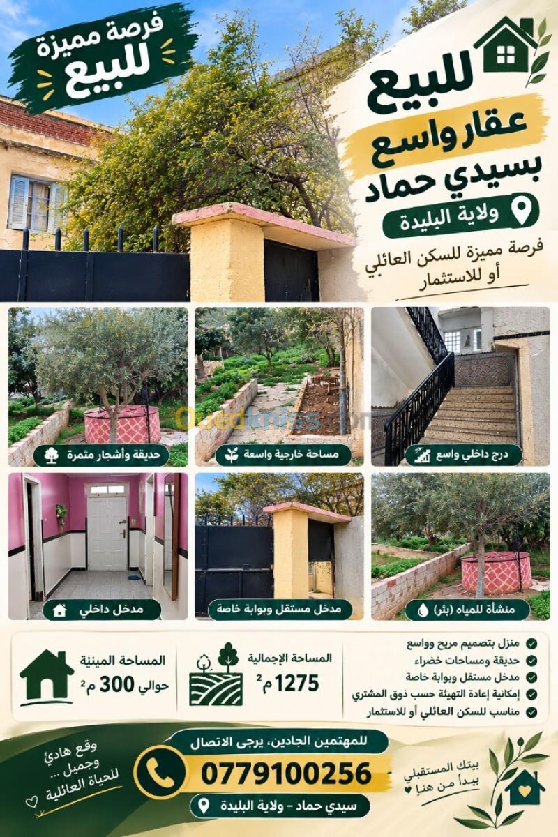 Vente Terrain Blida Meftah