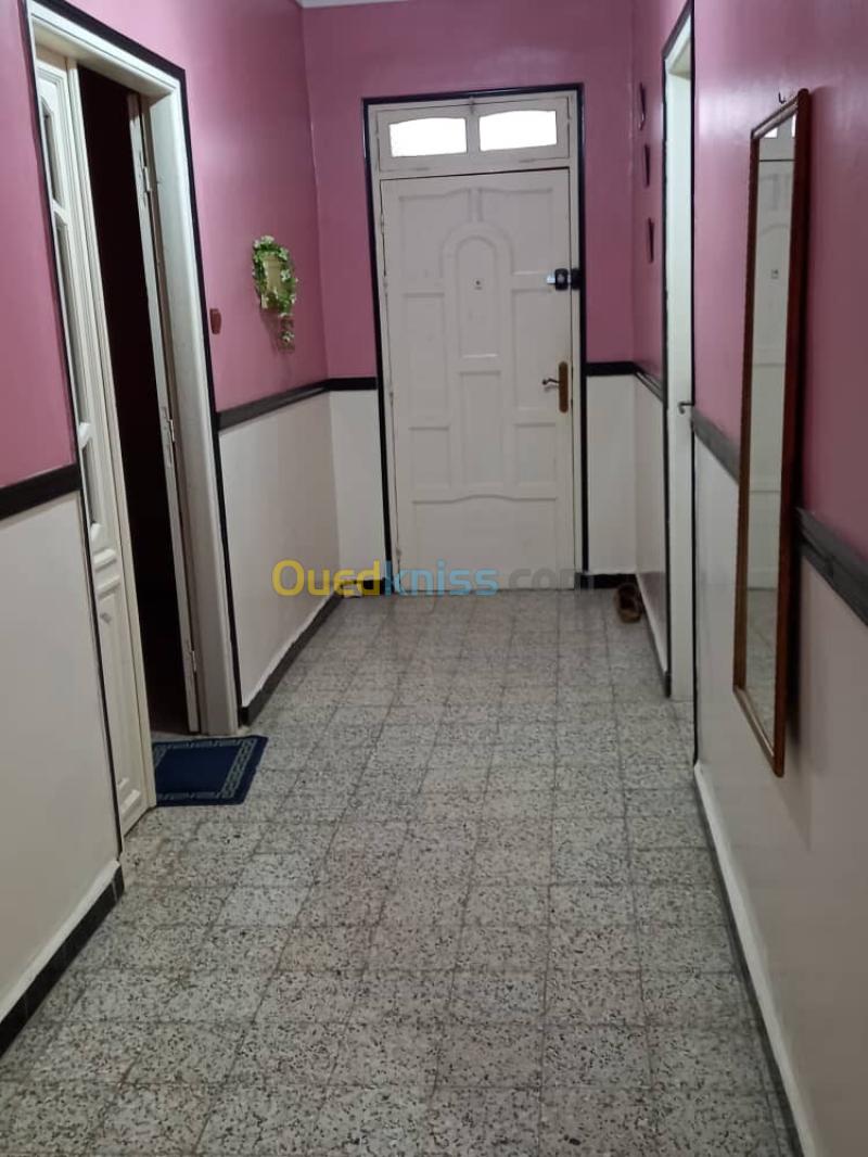 Vente Terrain Blida Meftah 12