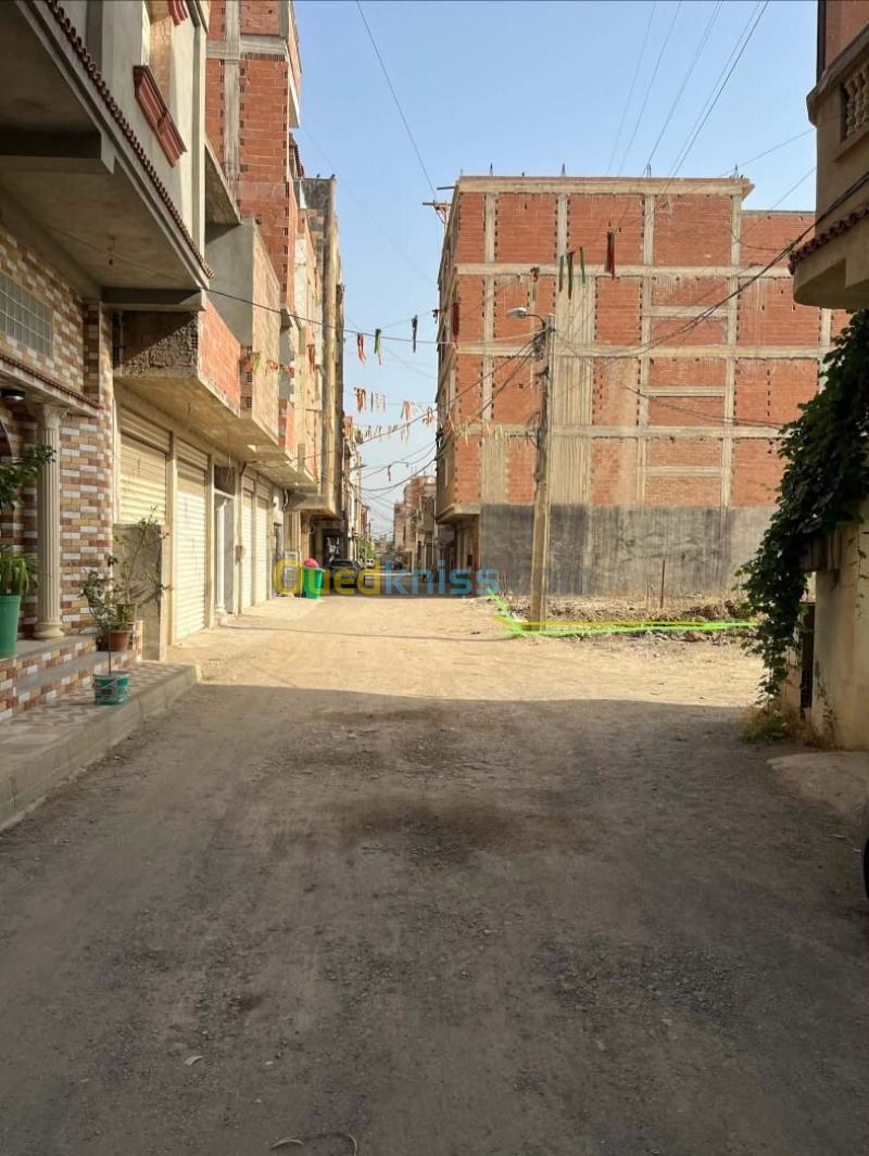 Vente Terrain Blida Bougara 6