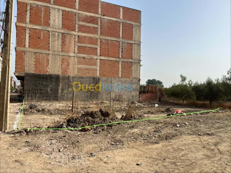 Vente Terrain Blida Bougara 3