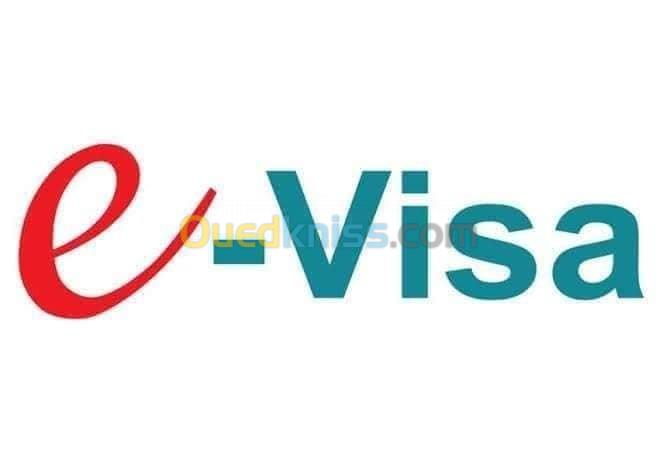    Traitement de dossier et E-Visa  