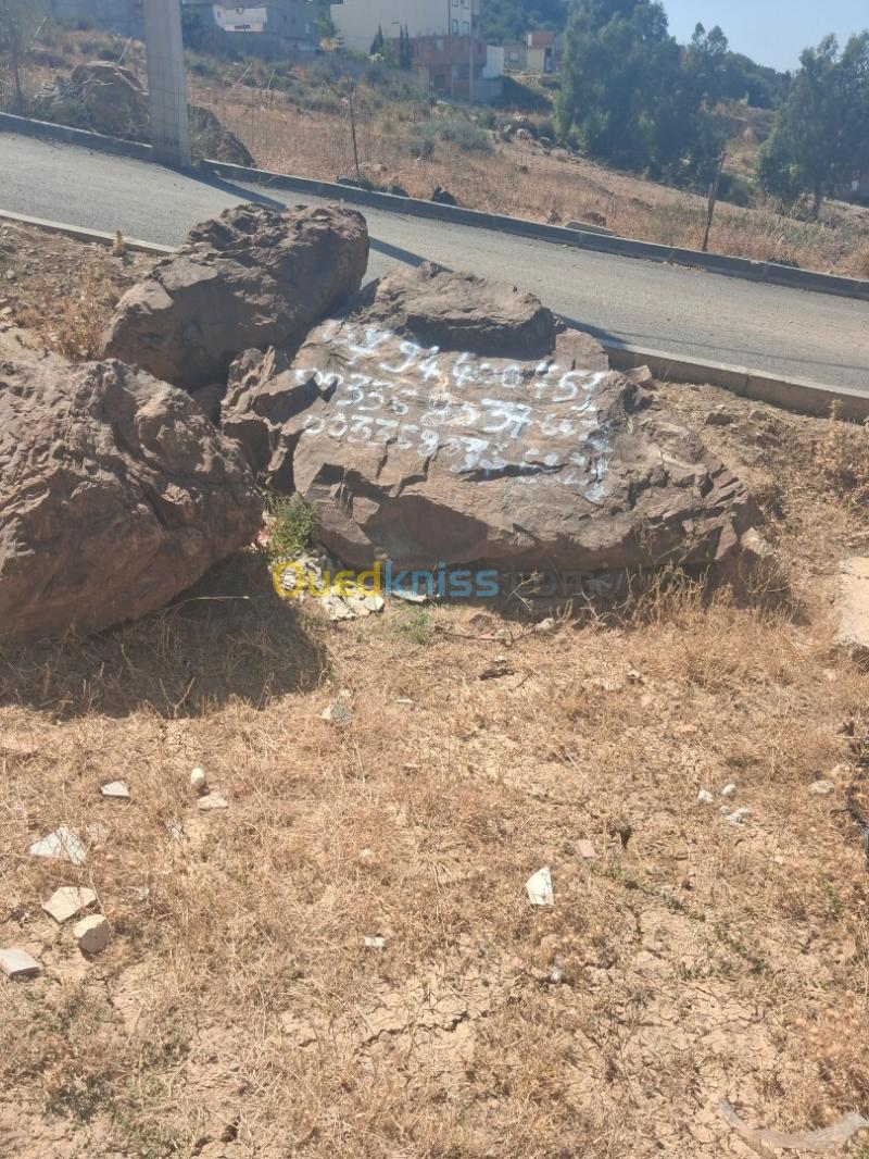 Vente Terrain Blida Bouinan 3