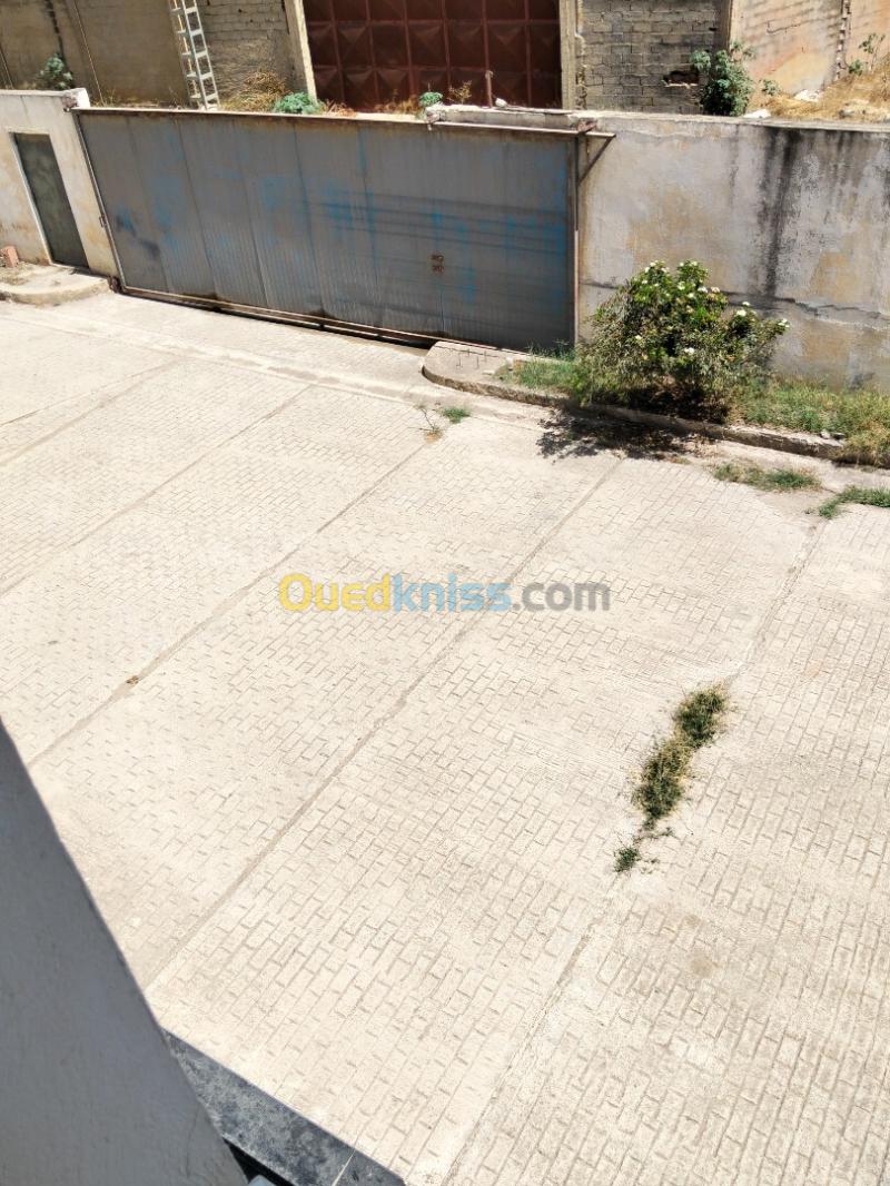Vente Hangar - Usine Tipaza Douaouda