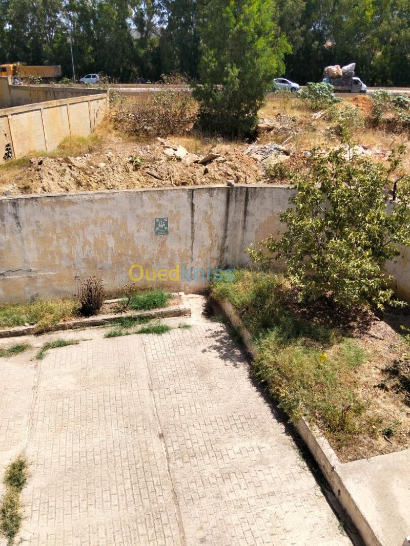 Vente Hangar - Usine Tipaza Douaouda 4