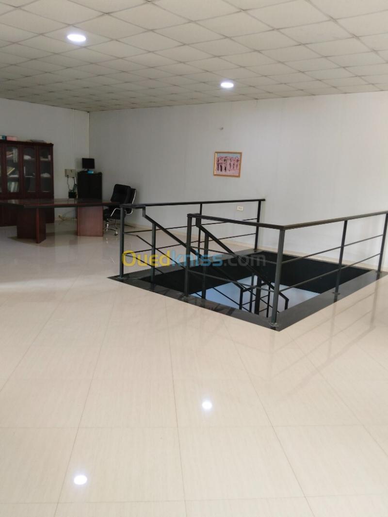 Vente Hangar - Usine Tipaza Douaouda 2