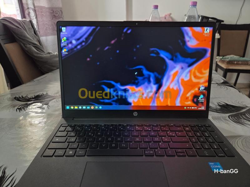 HP 250 G10