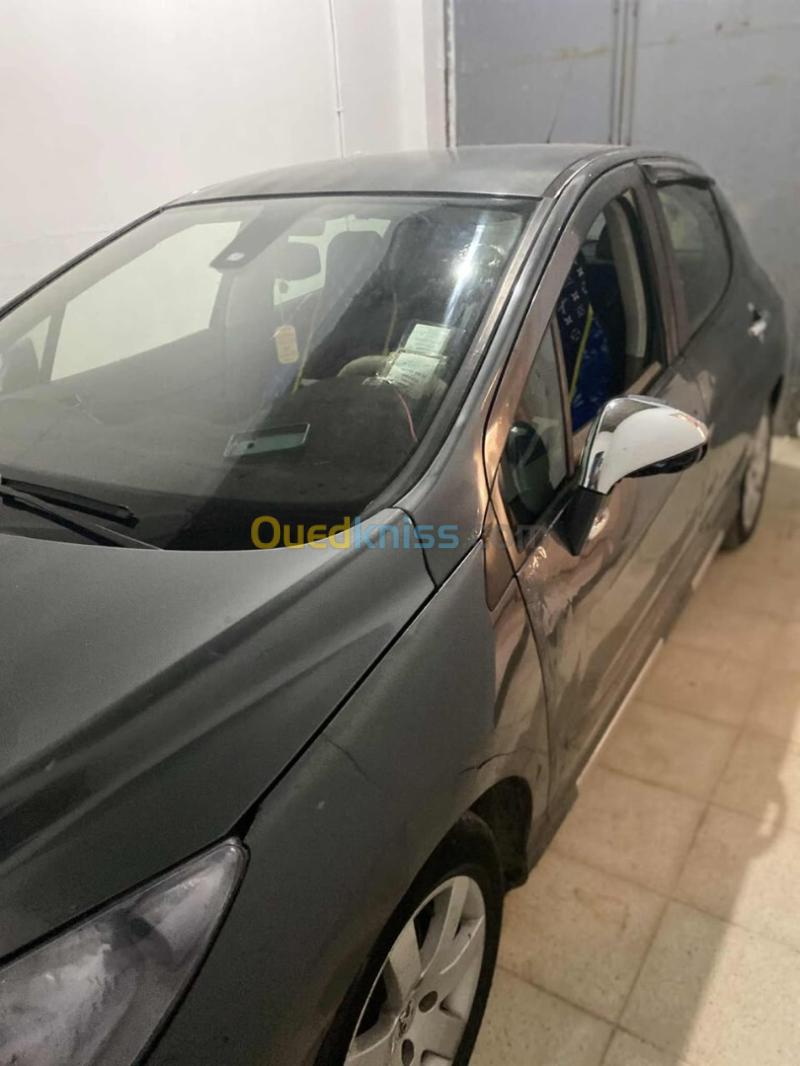 Peugeot 308 2008  7