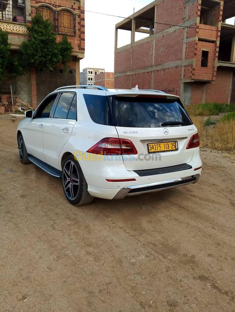 Mercedes ML 2013 250 CDI Pack AMG