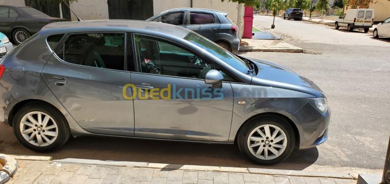 Seat Ibiza 2014 Crono 5