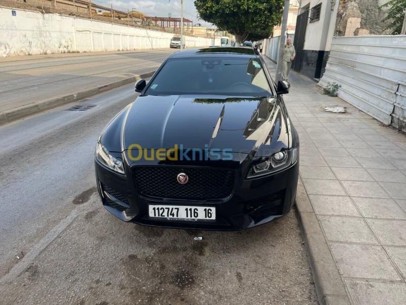 Jaguar XF Sportbrake 2016 XF Sportbrake 4