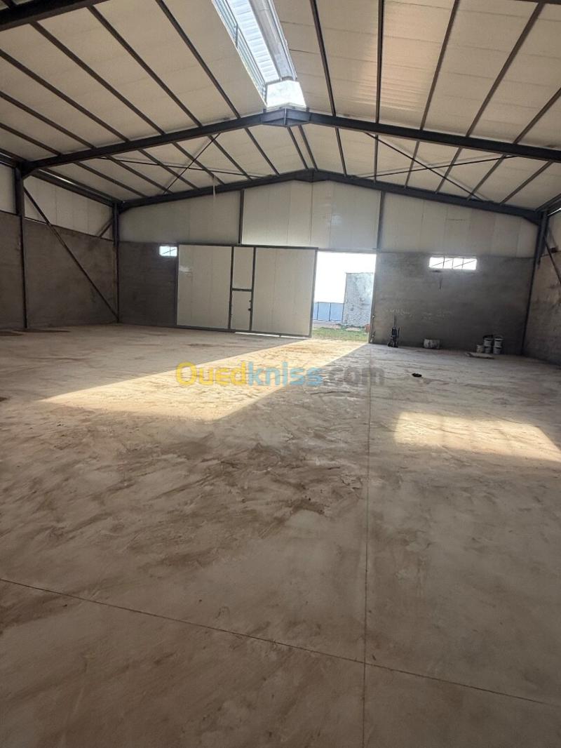 Location Hangar - Usine Sétif Ain arnat 5