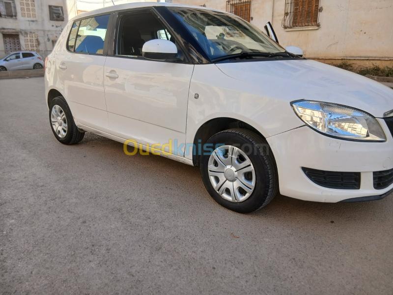 Skoda Fabia 2012  5
