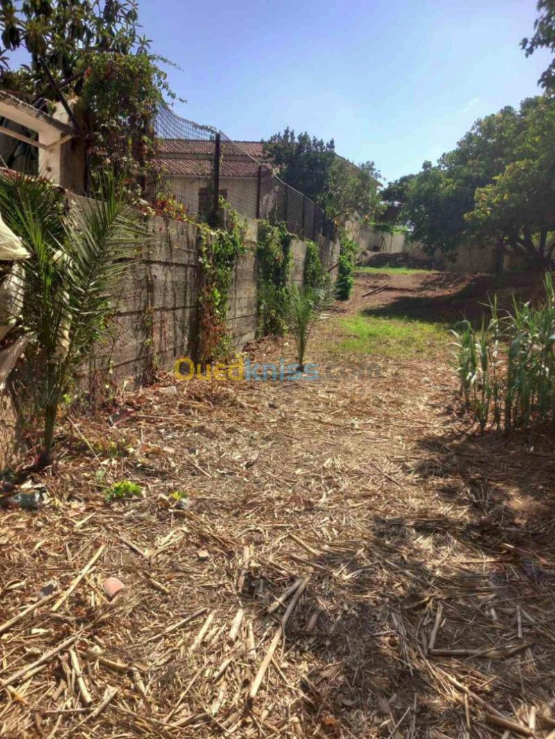 Vente Terrain Alger Hydra 2
